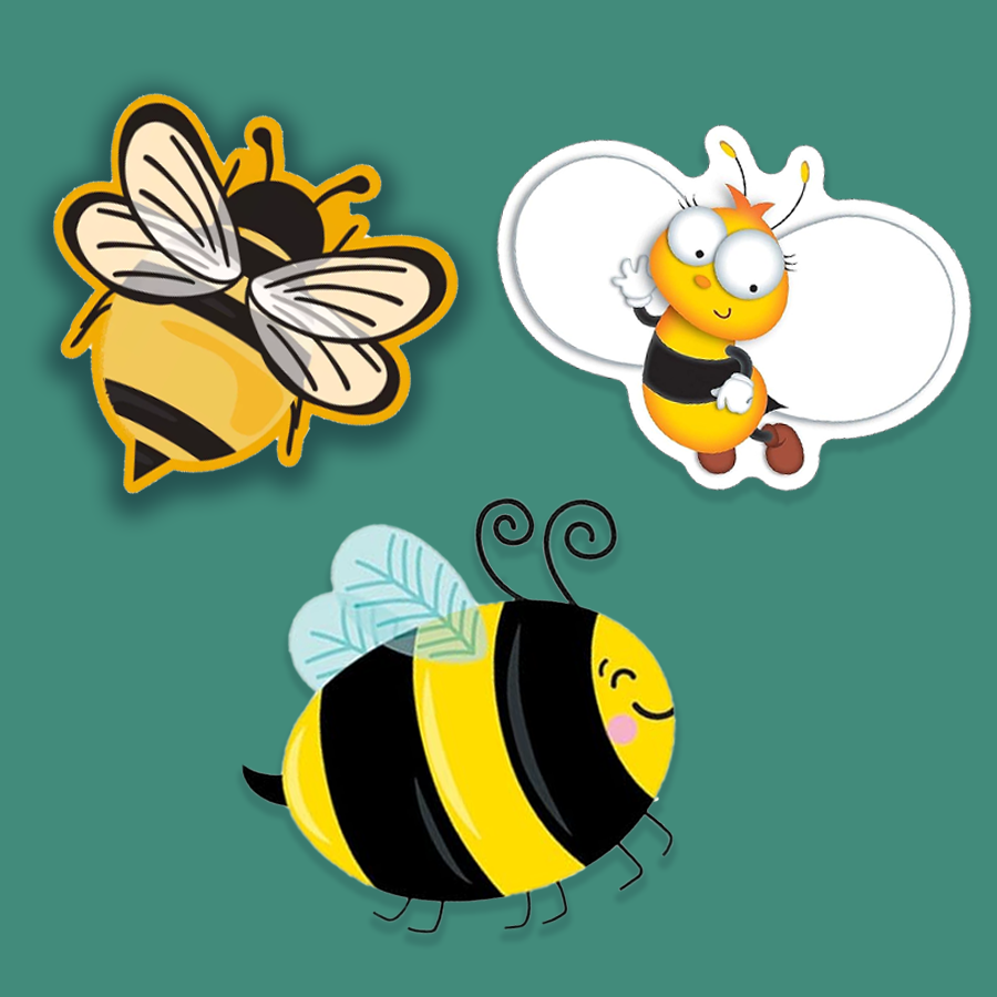 BEE-COLLECTION