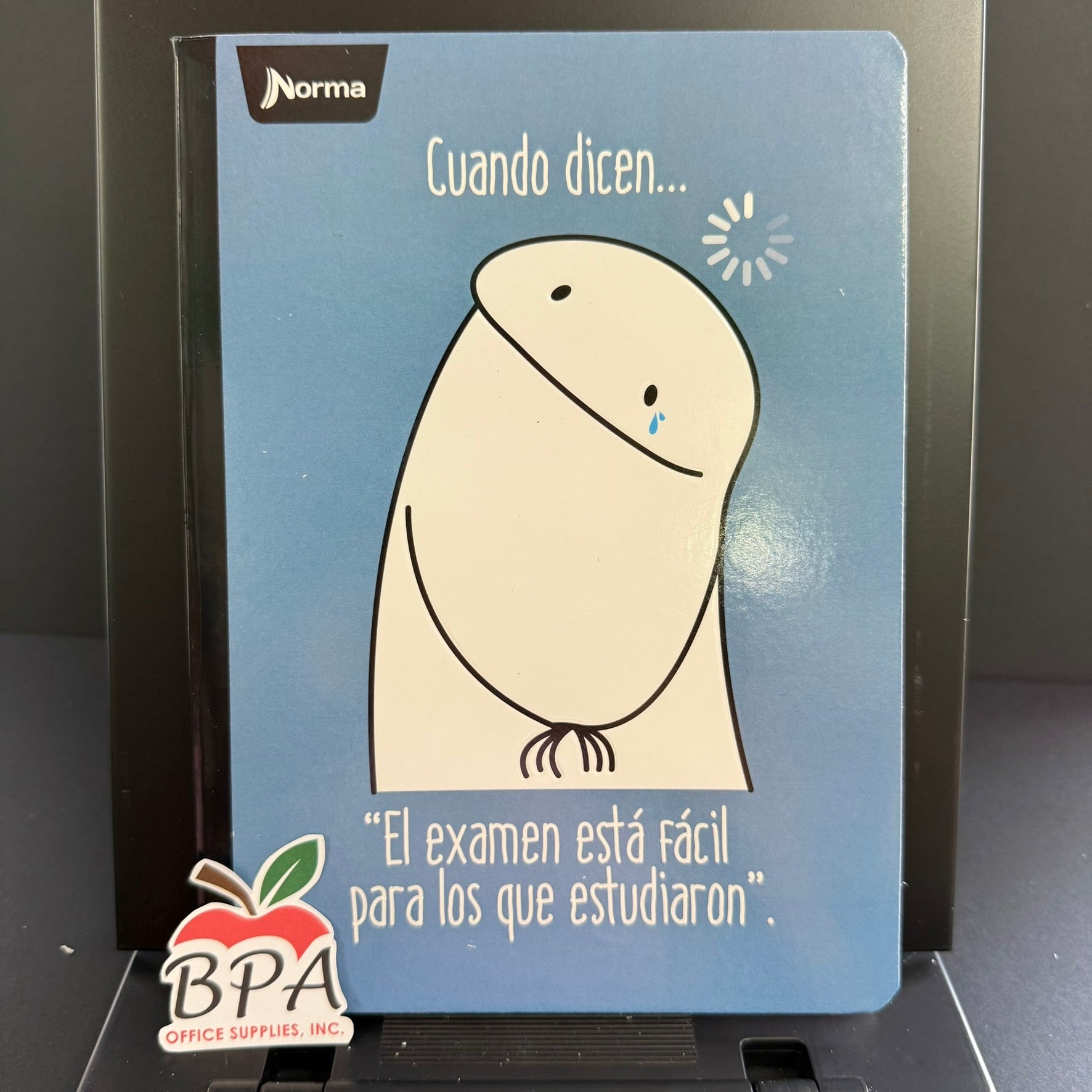 Norma •  Libreta grande "Memes" (Variedad de estilos)