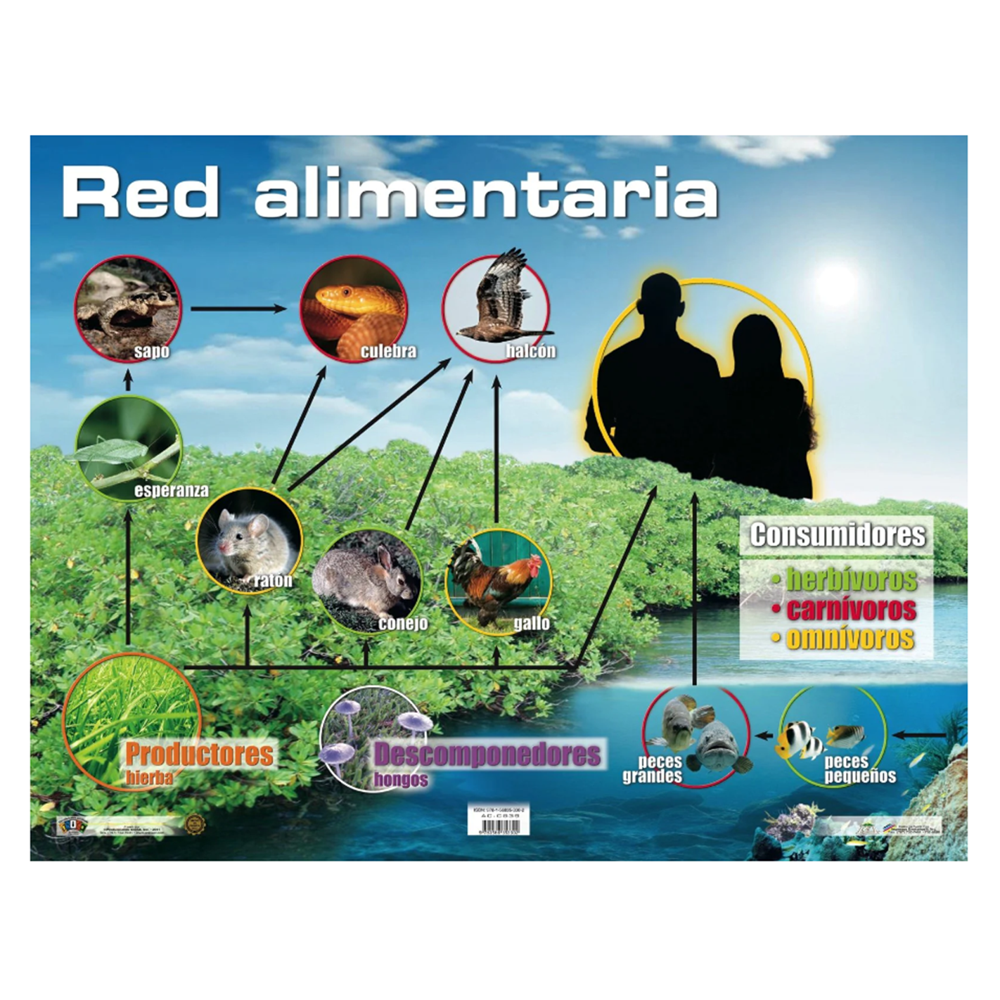 Anisa •  Cartel "Red Alimentaria"