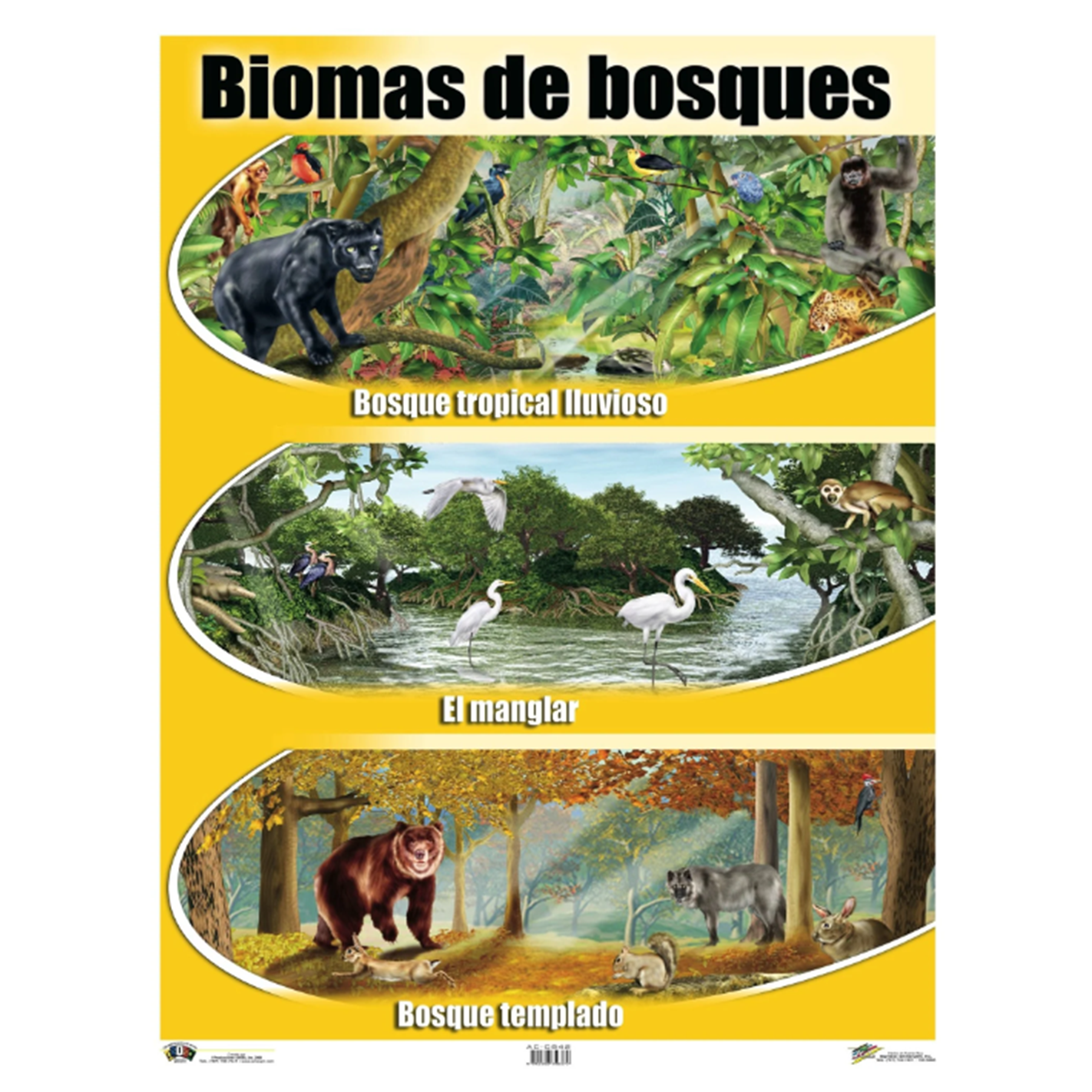 Anisa •  Cartel "Los biomas del bosque"