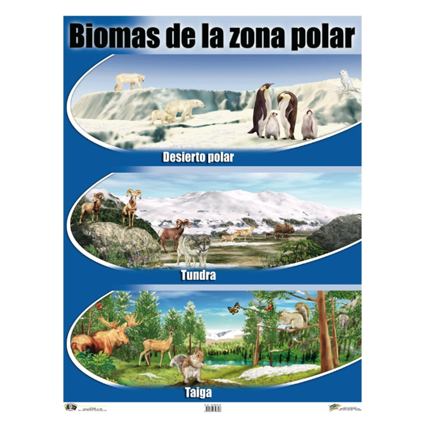 Anisa •  Cartel "Biomas de la zona polar"