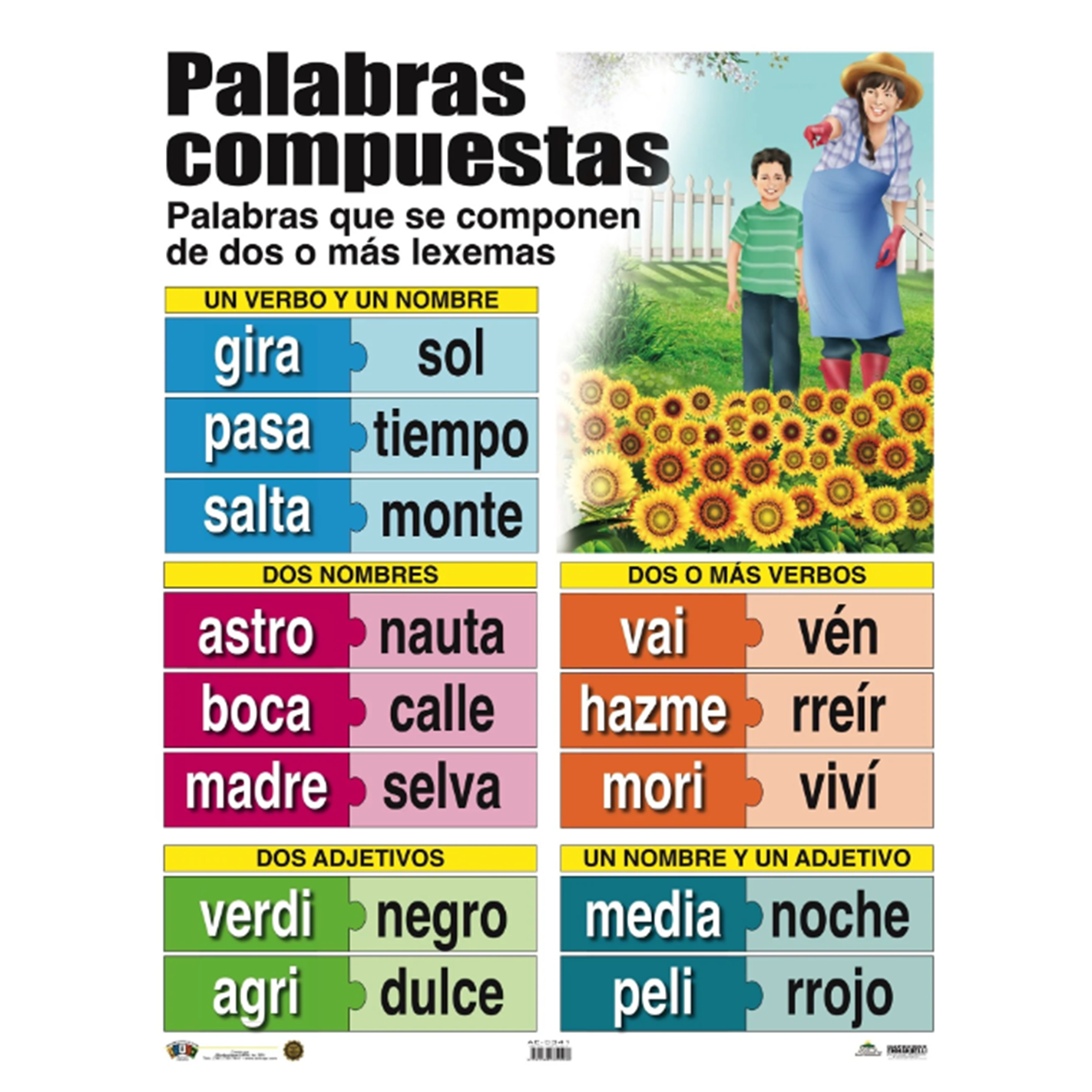 Anisa •  Cartel "Palabras compuestas"