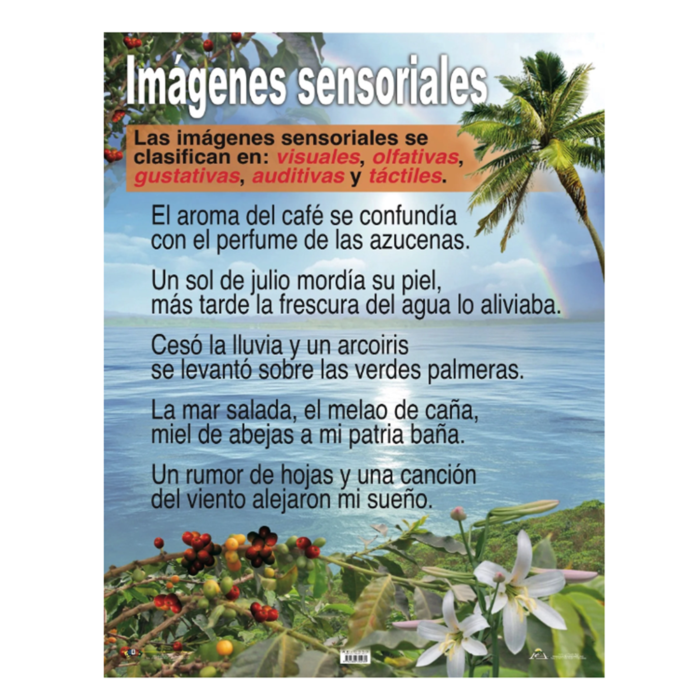 Anisa •  Cartel "Imágenes Sensoriales"