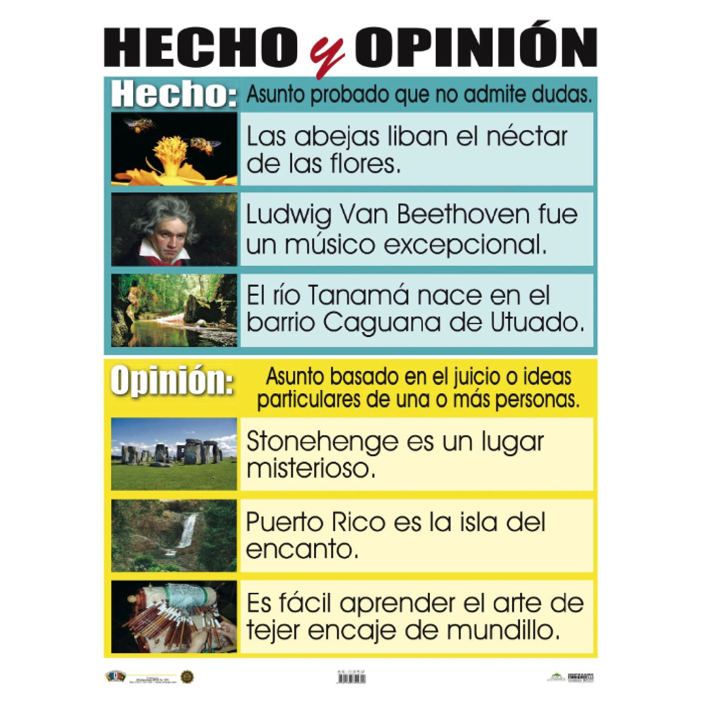 Anisa •  Cartel "Hecho y Opinión"