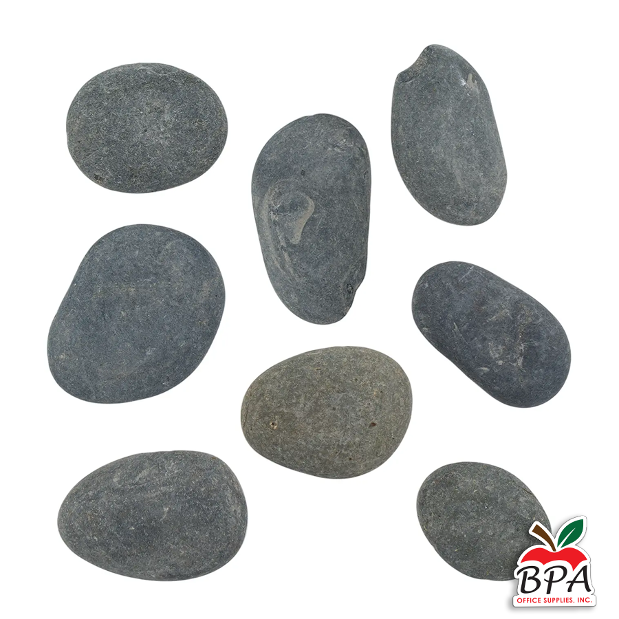 Activity Set • Pinta Galaxias