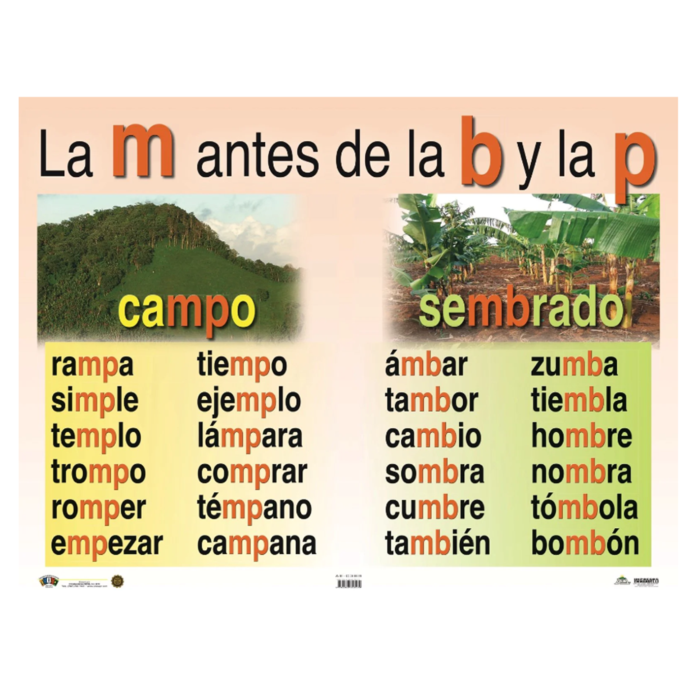 Anisa •  Cartel "La M antes de la B y la P"